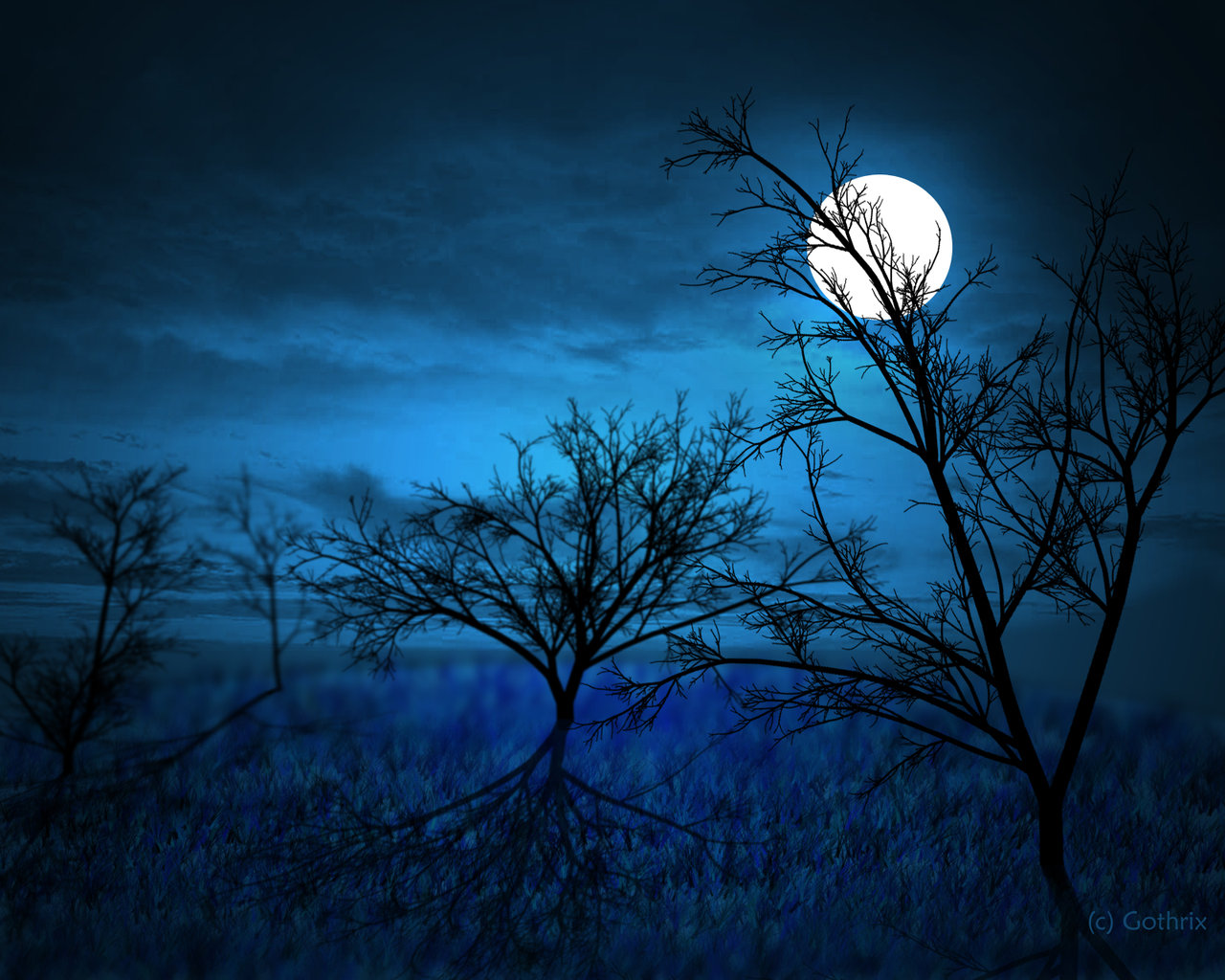 Halloween Fun Fact: It's actually very rare for a full moon to occur on Halloween. Although, it's predicted to occur on 10/31/2020.