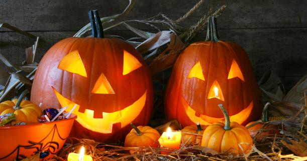 Halloween Fun Fact: About 99% of all pumpkinds sold are used as Jack 'O Lanterns for Halloween.